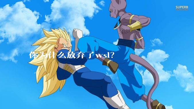 你为什么放弃了wsl？
